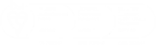 BSI ISO 9001 certified